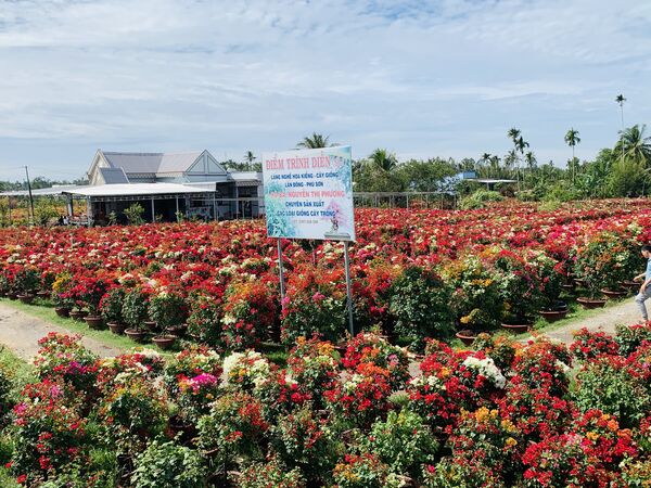 Jardin De Fleurs Et Plantes D Agr Ment De Cho Lach Quelques Jours Du