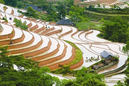 Hoang Su Pho