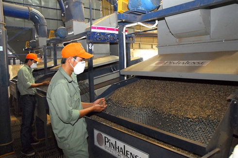 Une chaîne de transformation de café. Photo: Hông Ky/VNA/CVN
