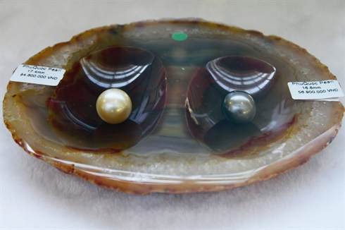 La qualité des perles de Phu Quôc est parmi la meilleure de la planète, selon les experts.