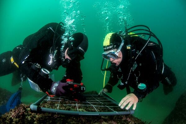 A scientific expedition to better understand and protect the coast