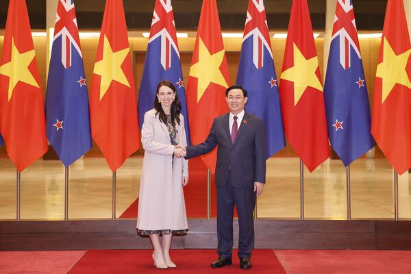 The visit of the NA president will contribute to strengthening Vietnamese relations