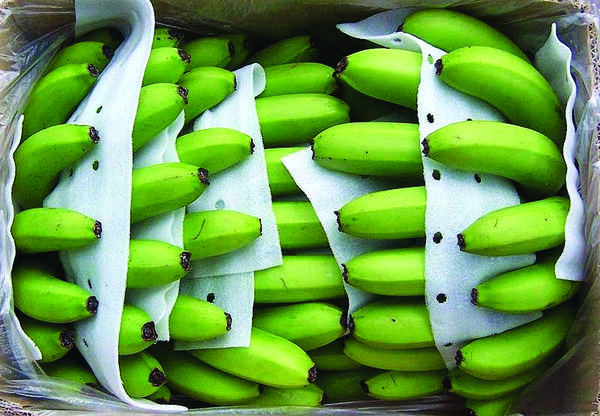 Derdysterion Banane - Livraison Gratuite Pour Les Nouveaux Utilisateurs -  Temu France