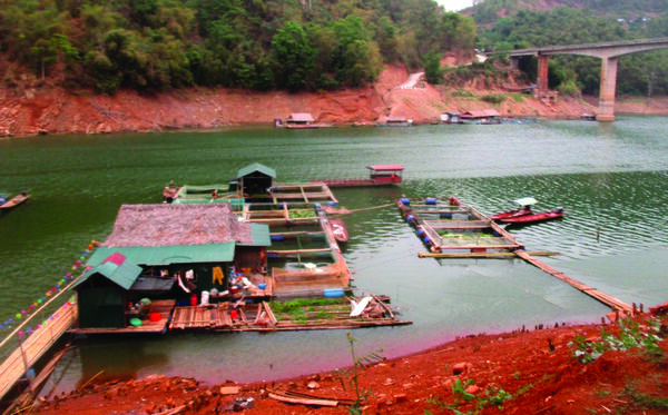 Cage Fish Farming in Hydroelectric Reservoirs: A Gateway to Rural Economic Restructuring and Poverty Reduction in Vietnam