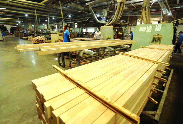 timber-industry-aims-for-25-billion-export-target-by-2030-archyde