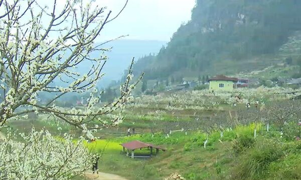 Bac Hà District: A Distinctive Cultural and Historical Tourist Destination in Lào Cai Province