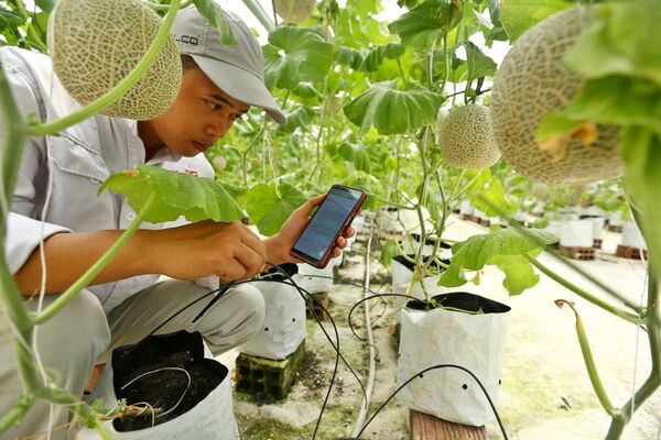 Australia to fund technological innovation in Vietnamese agriculture