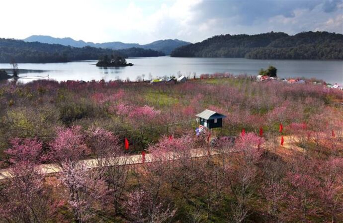 Trải nghiệm Pá Khoang Điện Biên mùa hè