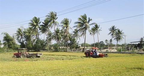 Ninh Thuân pousse le développement agricole et rural durable