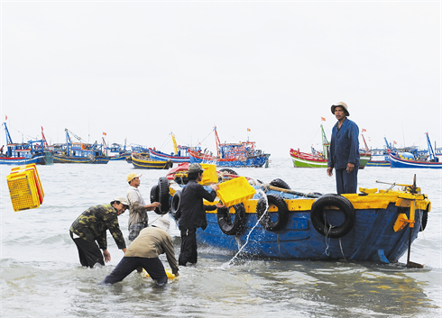 Le port de pêche de Phuoc Tinh représente, à lui seul, la plus grande production halieutique de toute la région Sud-Est.