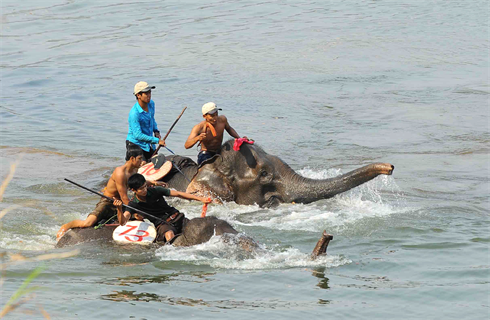Une course d’éléphants à la rivière Sêrêpok (hauts plateaux du Centre). Photo : Minh Duc/VNA/CVN