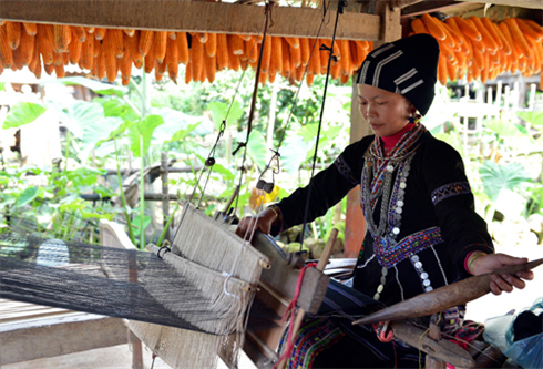 Les méthodes traditionnelles de tissage sont préservées dans la plupart des familles Lu. Photo : Thanh Hà/VNA/CVN