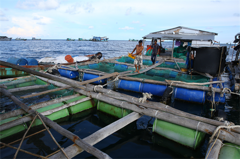 Élevage piscicole au large de l’île de Phu Quôc.