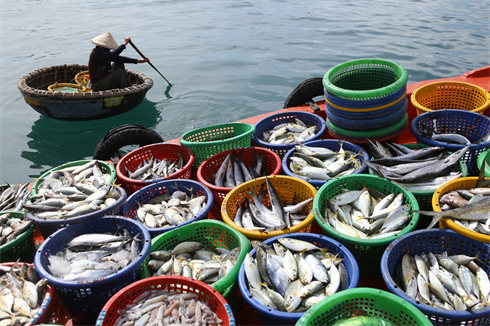 Des produits aquatiques au port d’An Thoi.