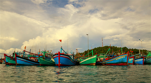 La flotte de pêche de la province comprend plus de 12.400 bateaux.