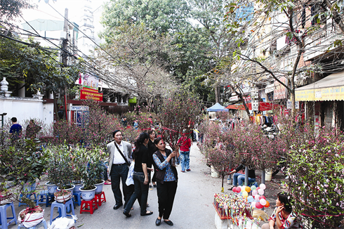 La rue aux fleurs est éblouissante en cet après-midi de fin d’année.
