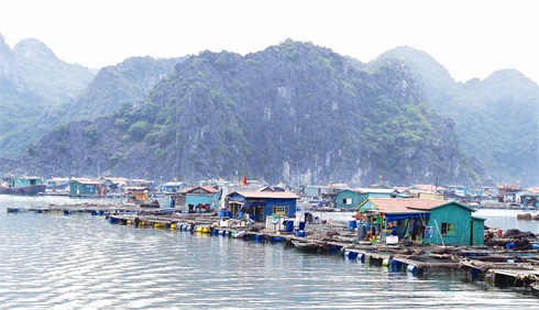 Un village flottant en baie de Lan Ha.