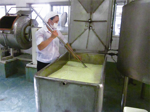 Production fromagère à la Compagnie laitière de Môc Châu.