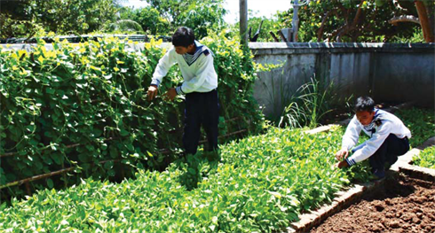     En dehors des heures d’entraînement, les soldats de l’île de Truong Sa Lon cultivent des légumes.