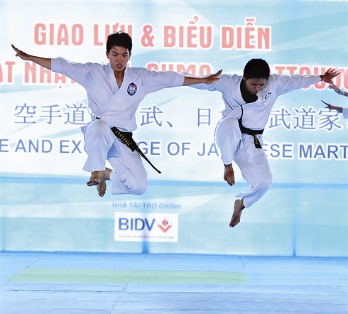 Dans le monde des arts martiaux, le Vietnam est aujourd’hui présent sur les cinq continents.    