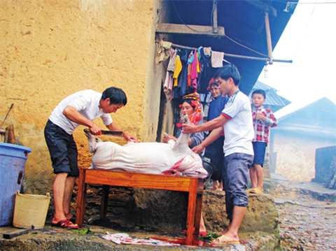 Les Hà Nhi abattent un porc pour rendre culte aux ancêtres. Photo : Tintuc/CVN