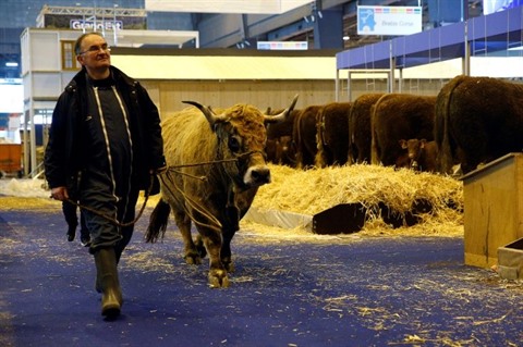 Au Salon De L Agriculture La Ferme France A L Aube De Sa