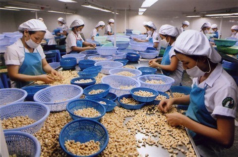 Agriculture Pour Des Produits A Forte Valeur Ajoutee Le Courrier Du Vietnam