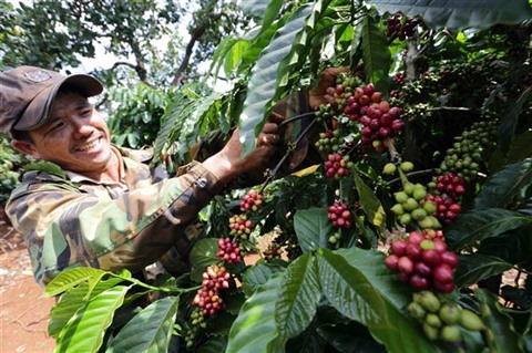 Un début d'année plein de promesses pour les exportations agricoles