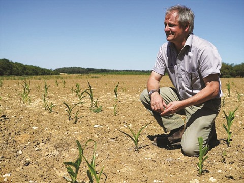 Inflation, drought: repeated “mass blows” for an English farmer