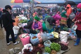 Lùng Phinh, l’autre marché haut en couleurs de Bac Hà 