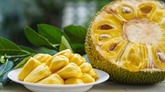 Promouvoir les exportations de fruit du jacquier vietnamien vers l'Australie