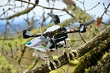 Le robot oiseau et la pince conçue par des ingénieurs pour permettre à des drones d'imiter le comportement aviaire. Photo : AFP/VNA/CVN